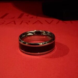 Titanium Men’s Band Ring with Shungite Accent